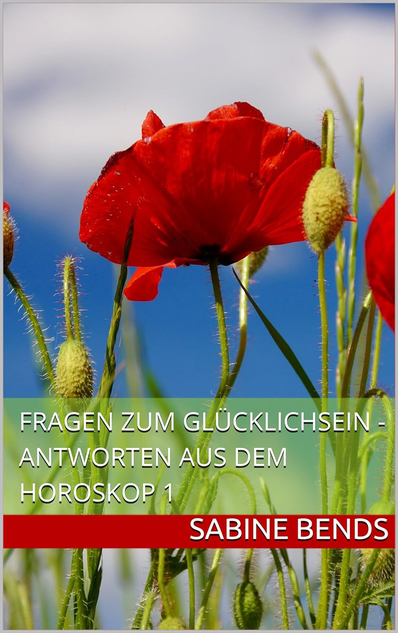 fragen-zum-gluecklichsein-sabine-bends