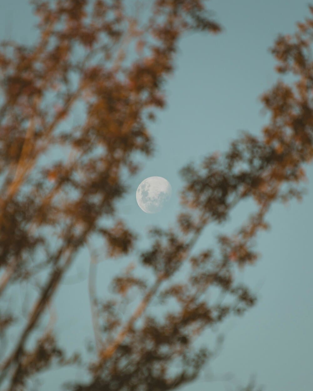 paulo-freitas-ZoIR9g8-u6c-unsplash