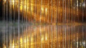 Direktionen – Lichtstrahle des Lebens